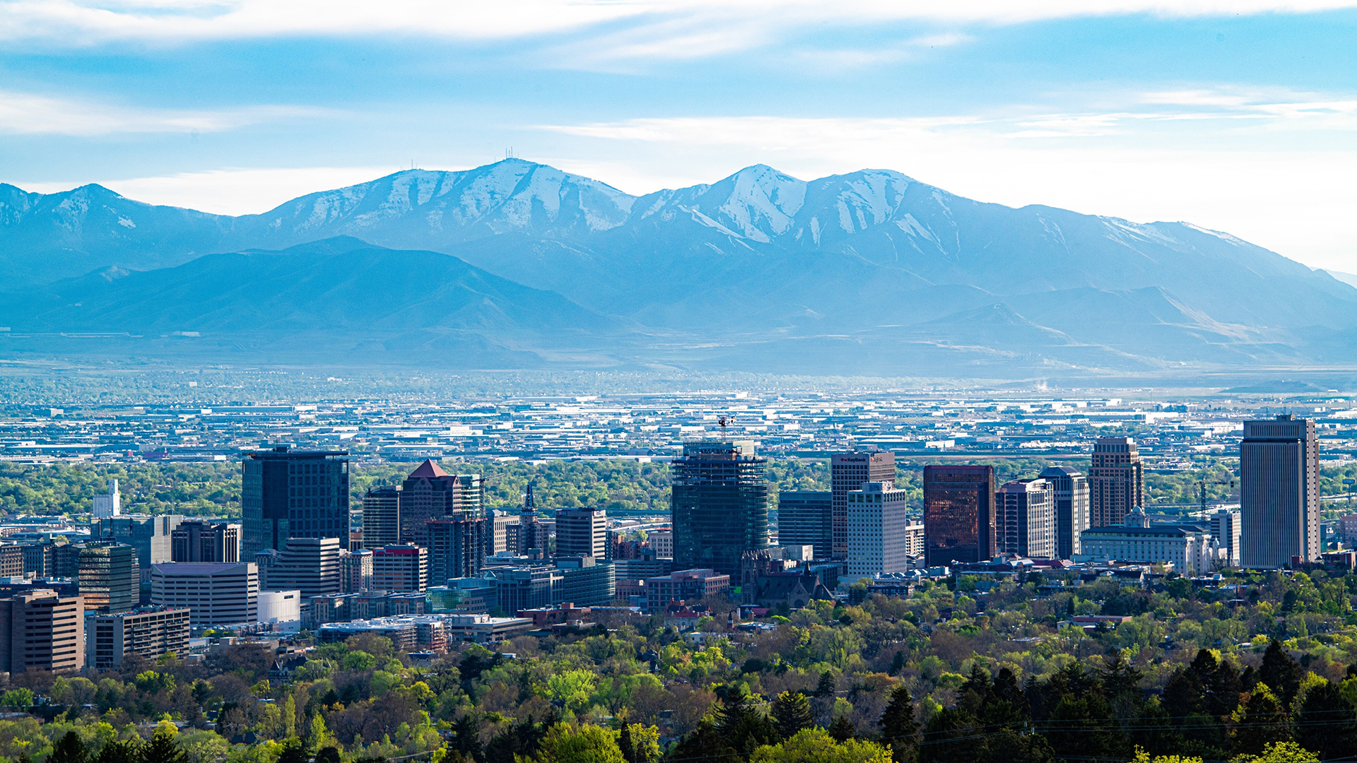 Federal Trade Commission Blocks HCA’s Acquisition of Steward Hospitals in Utah